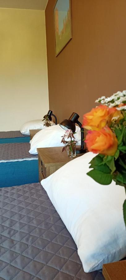 Ostoja Czersk Zamek Gora Kalwaria Apartment Екстериор снимка