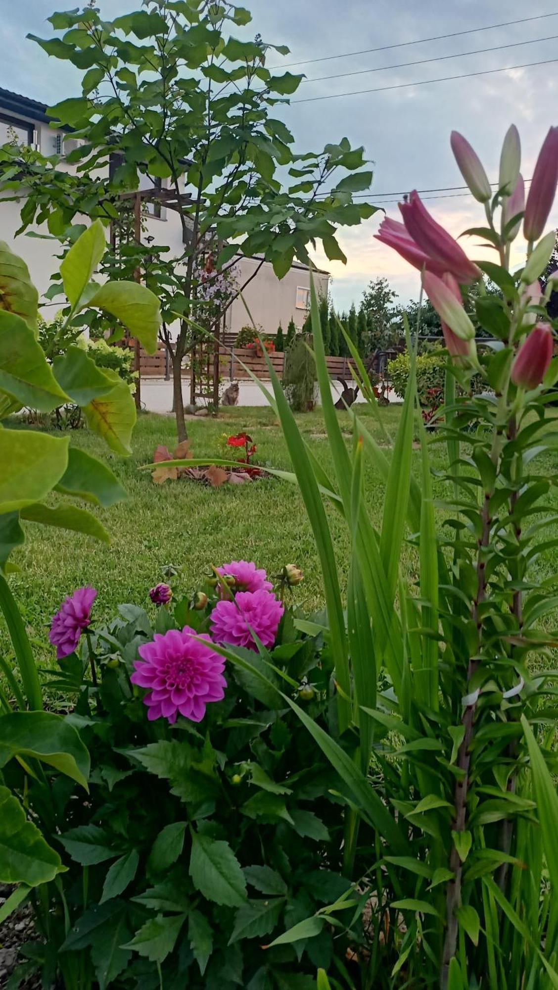 Ostoja Czersk Zamek Gora Kalwaria Apartment Екстериор снимка